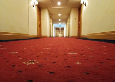 hallway with sconces and carpet